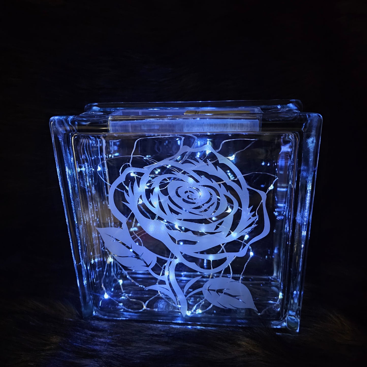 Etched Glass Blocks