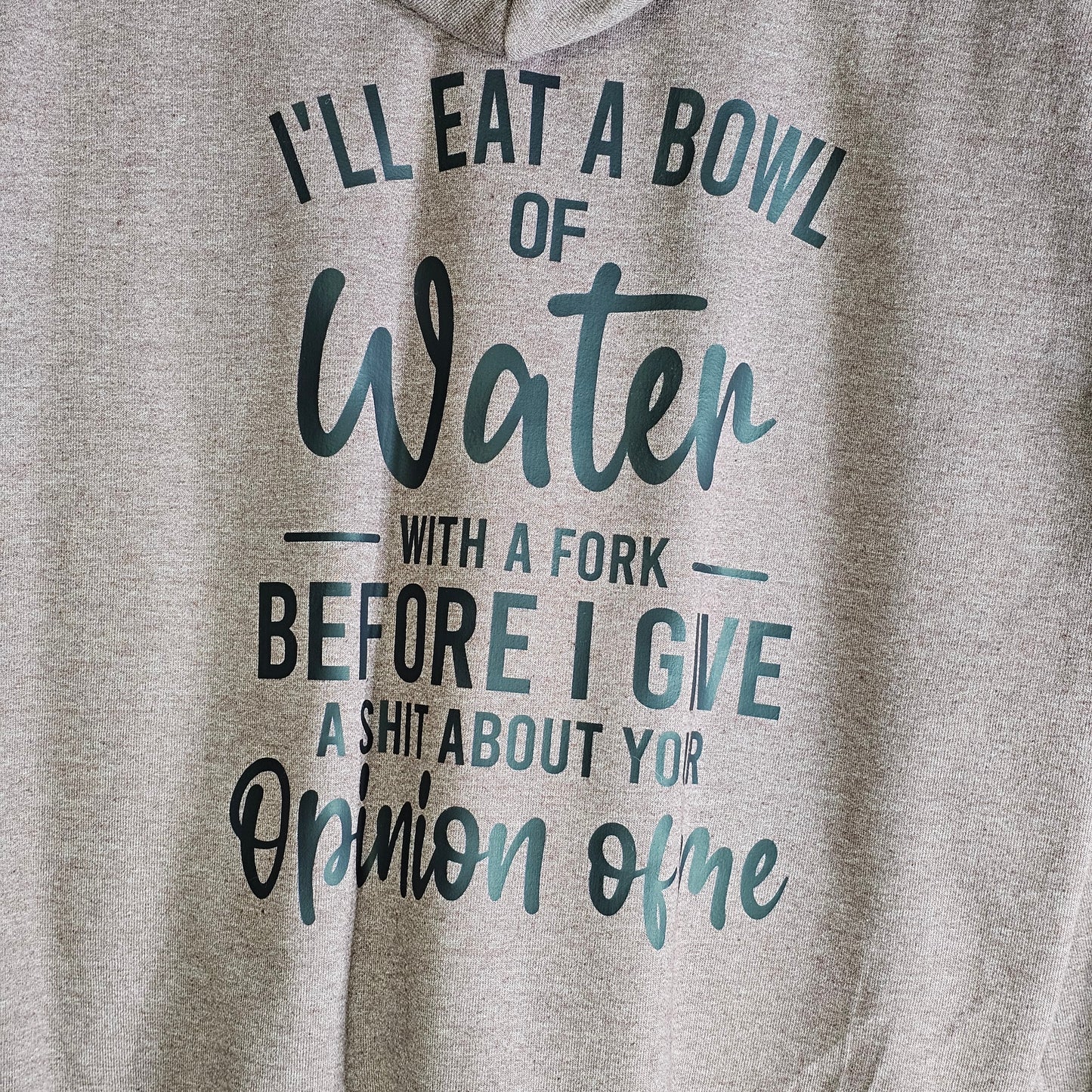 Bowl of Water Before Opinions Hoodie