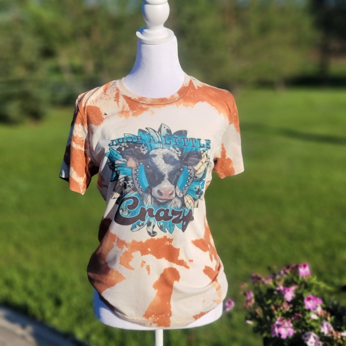 Little Crazy Copper-S with custom gift design
