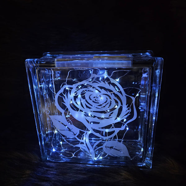 Etched Glass Blocks