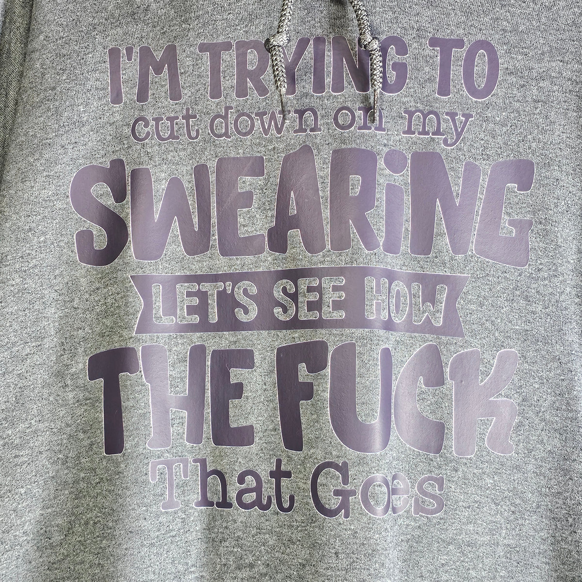 Probably Swearing Hoodie