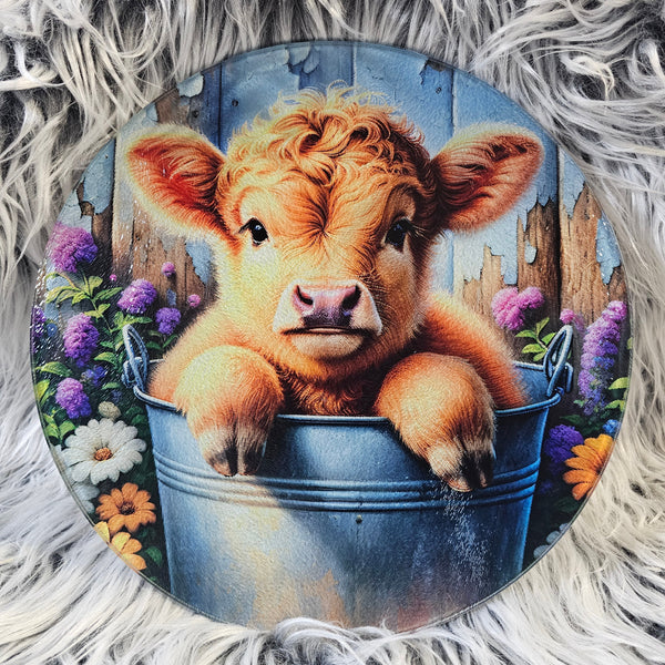 Lg. Round Baby Highland Calf in Pail